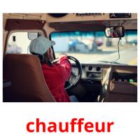 chauffeur picture flashcards