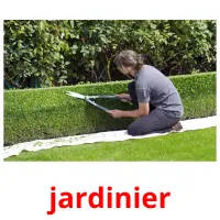 jardinier cartes flash