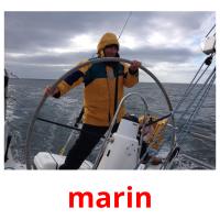 marin picture flashcards