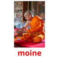 moine picture flashcards