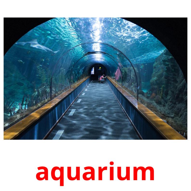 aquarium Tarjetas didacticas