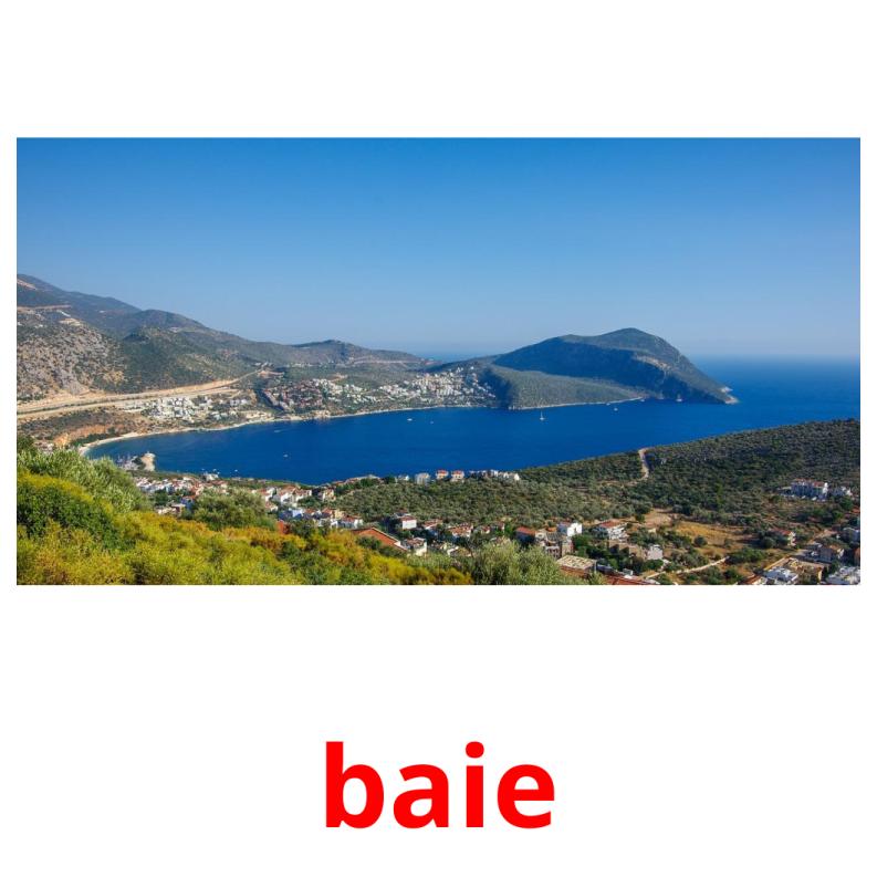 baie picture flashcards