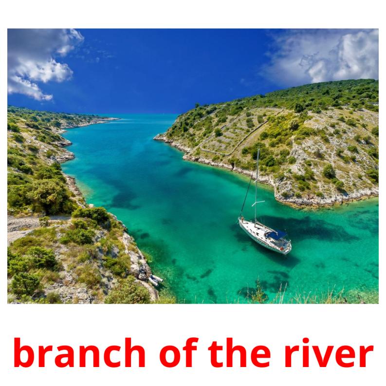 branch of the river Tarjetas didacticas