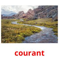 courant picture flashcards