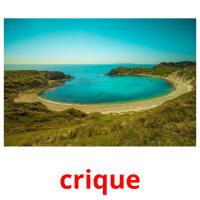 crique picture flashcards
