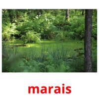 marais card for translate