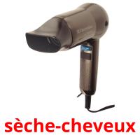 sèche-cheveux card for translate