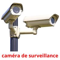 caméra de surveillance cartes flash
