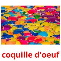 coquille d'oeuf flashcards illustrate