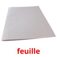 feuille card for translate
