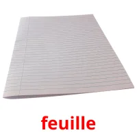 feuille picture flashcards