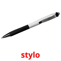 stylo picture flashcards