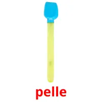 pelle picture flashcards