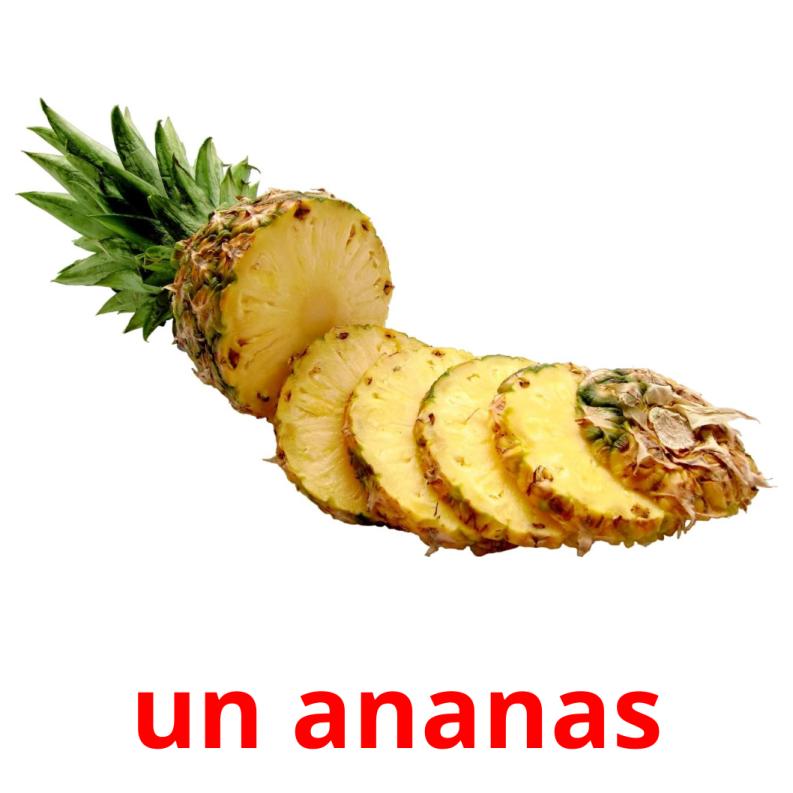 un ananas picture flashcards