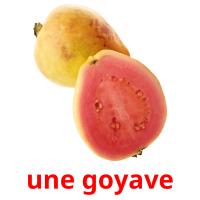 une goyave picture flashcards