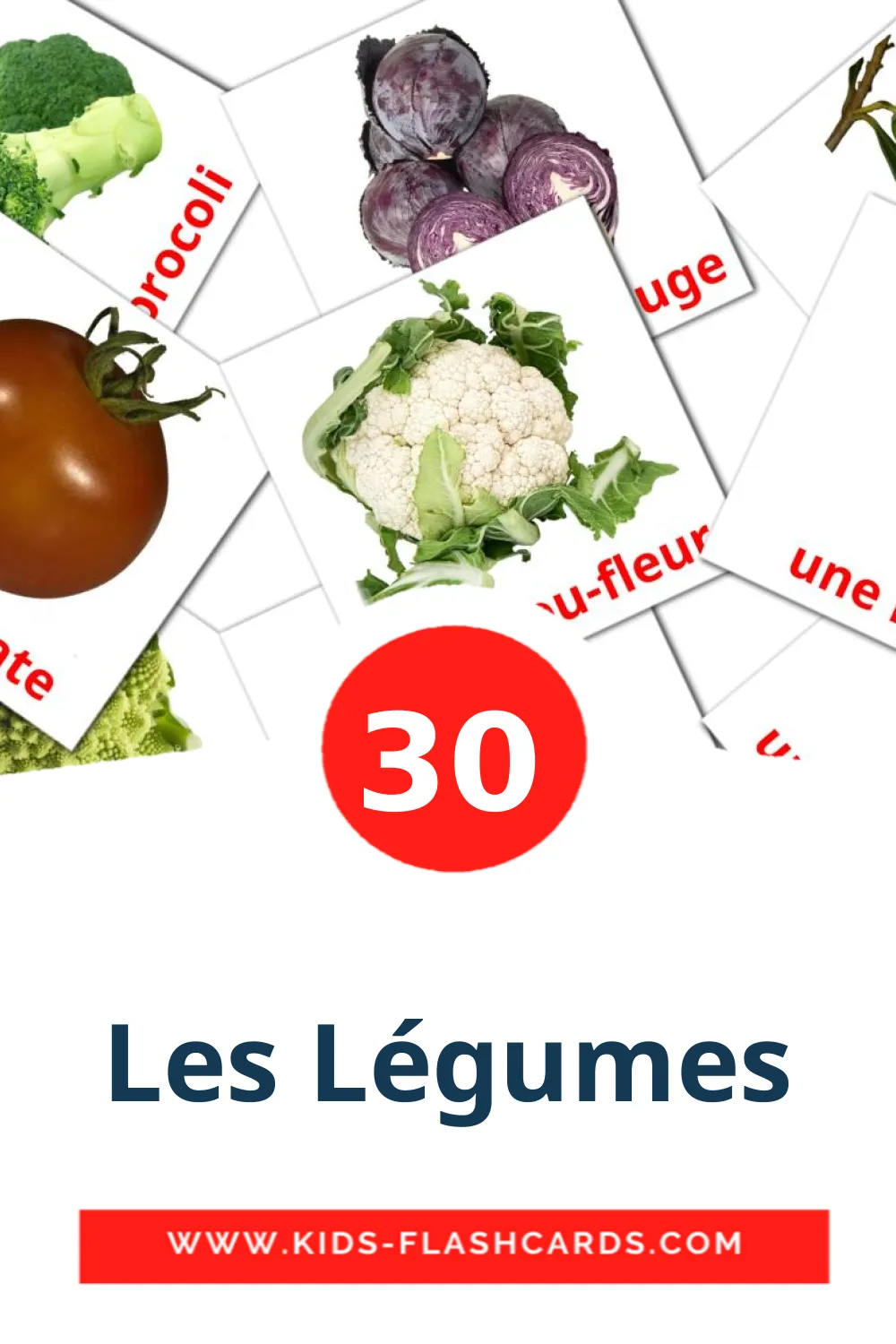 30 tarjetas didacticas de Les Légumes para el jardín de infancia en francés