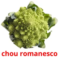 chou romanesco Tarjetas didacticas