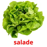 salade Tarjetas didacticas