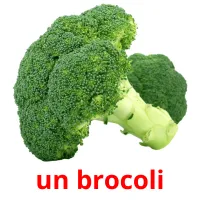 un brocoli Tarjetas didacticas