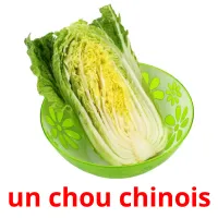 un chou chinois Tarjetas didacticas