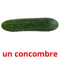 un concombre card for translate