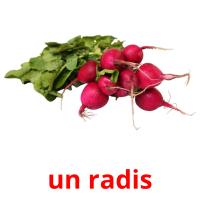 un radis card for translate