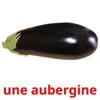 une aubergine Tarjetas didacticas