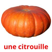 une citrouille card for translate