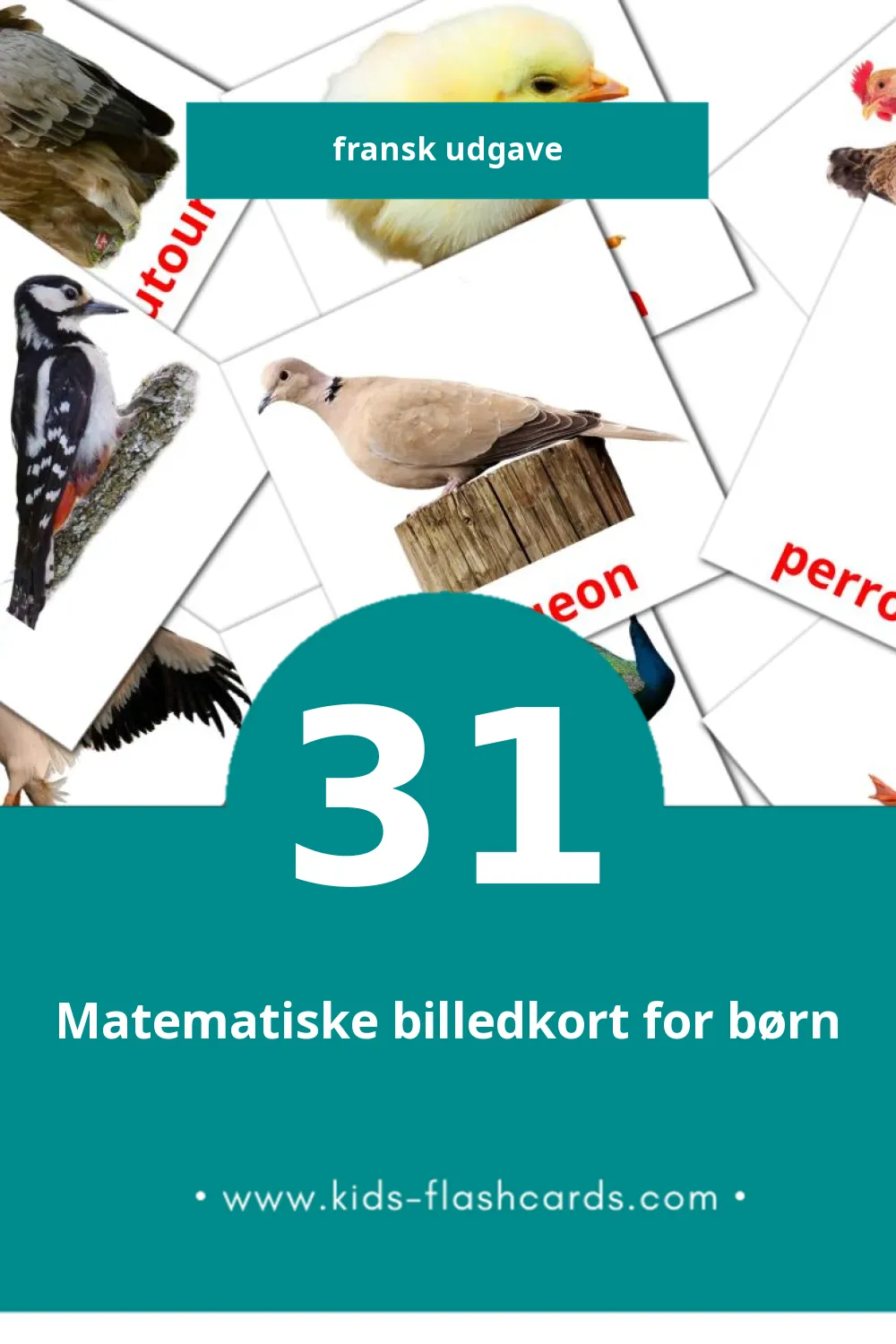 Visuelle billedkort for børn om Oiseaux til småbørn (31 kort på Fransk)