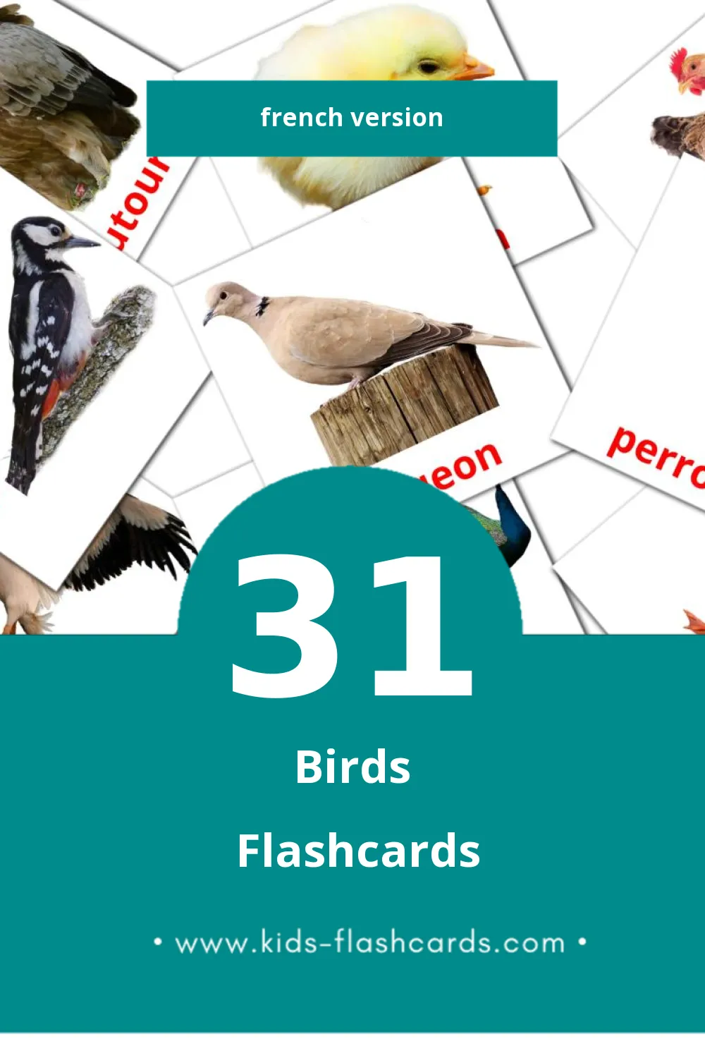 Visual Oiseaux Flashcards for Toddlers (31 cards in French)