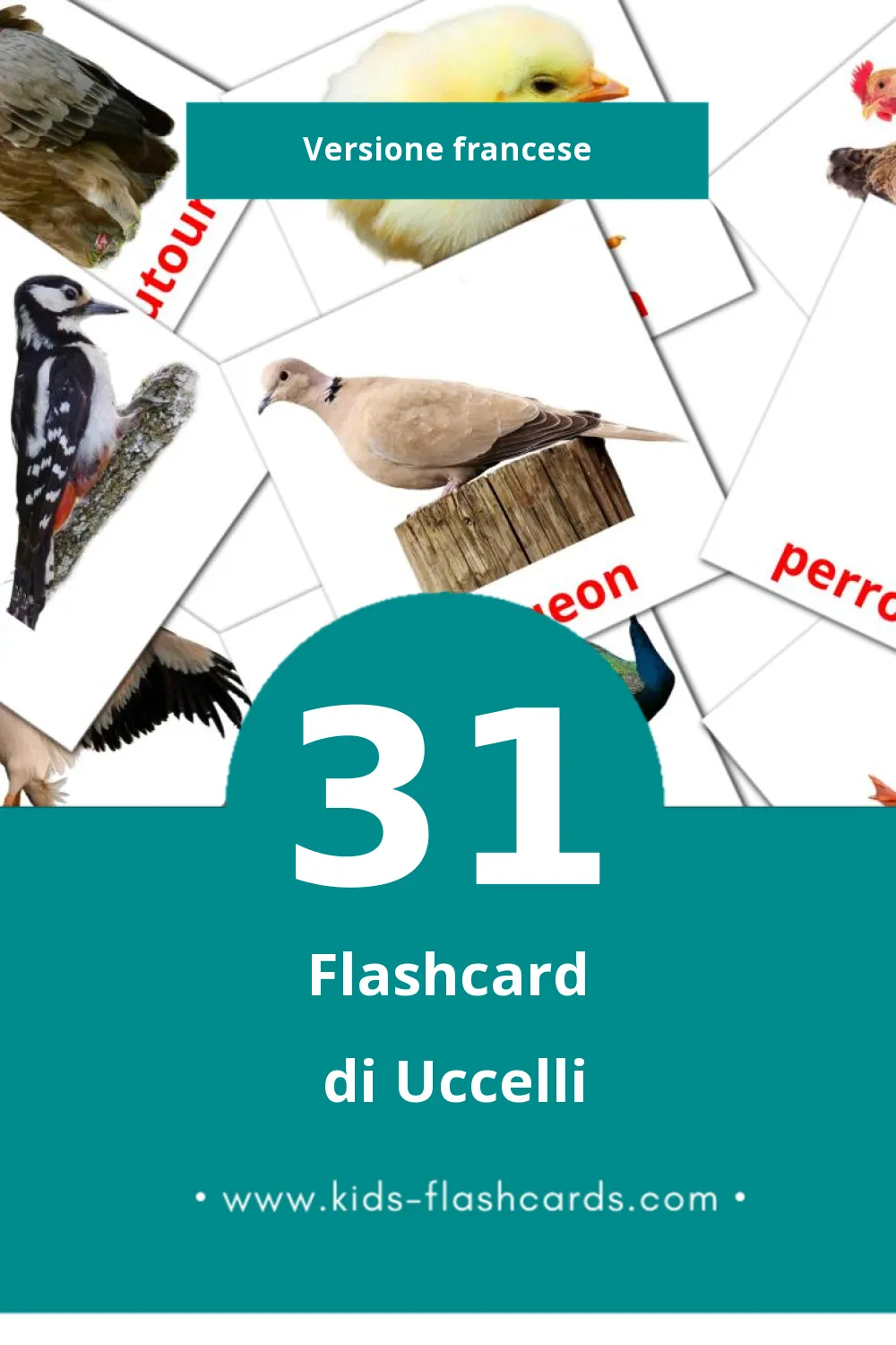 Schede visive sugli Oiseaux per bambini (31 schede in Francese)