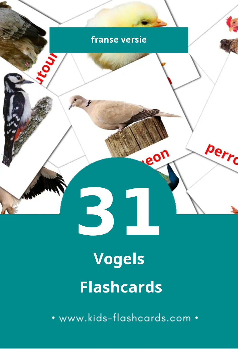 Visuele Oiseaux Flashcards voor Kleuters (31 kaarten in het Frans)