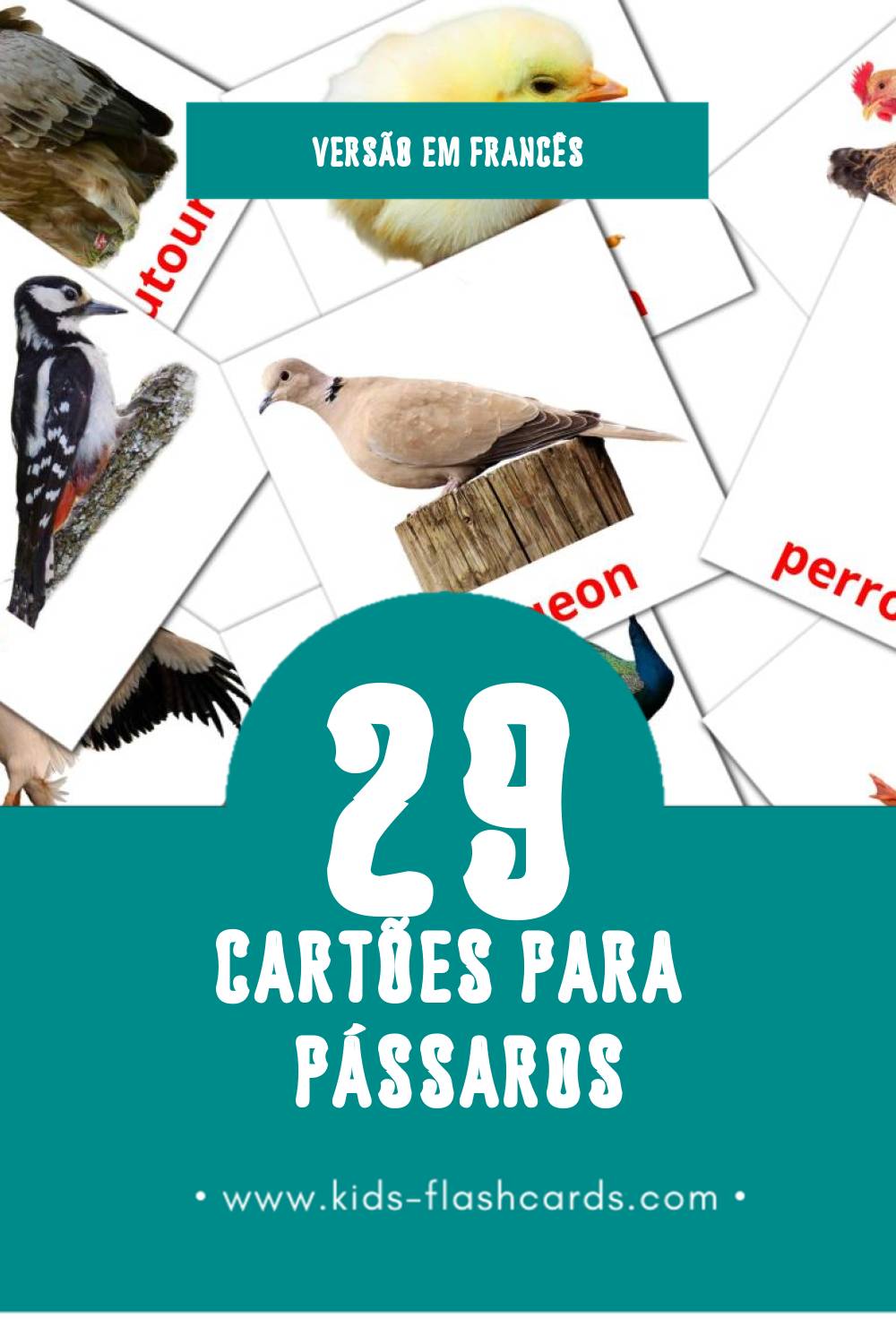 Flashcards de Oiseaux Visuais para Toddlers (29 cartões em Francês)