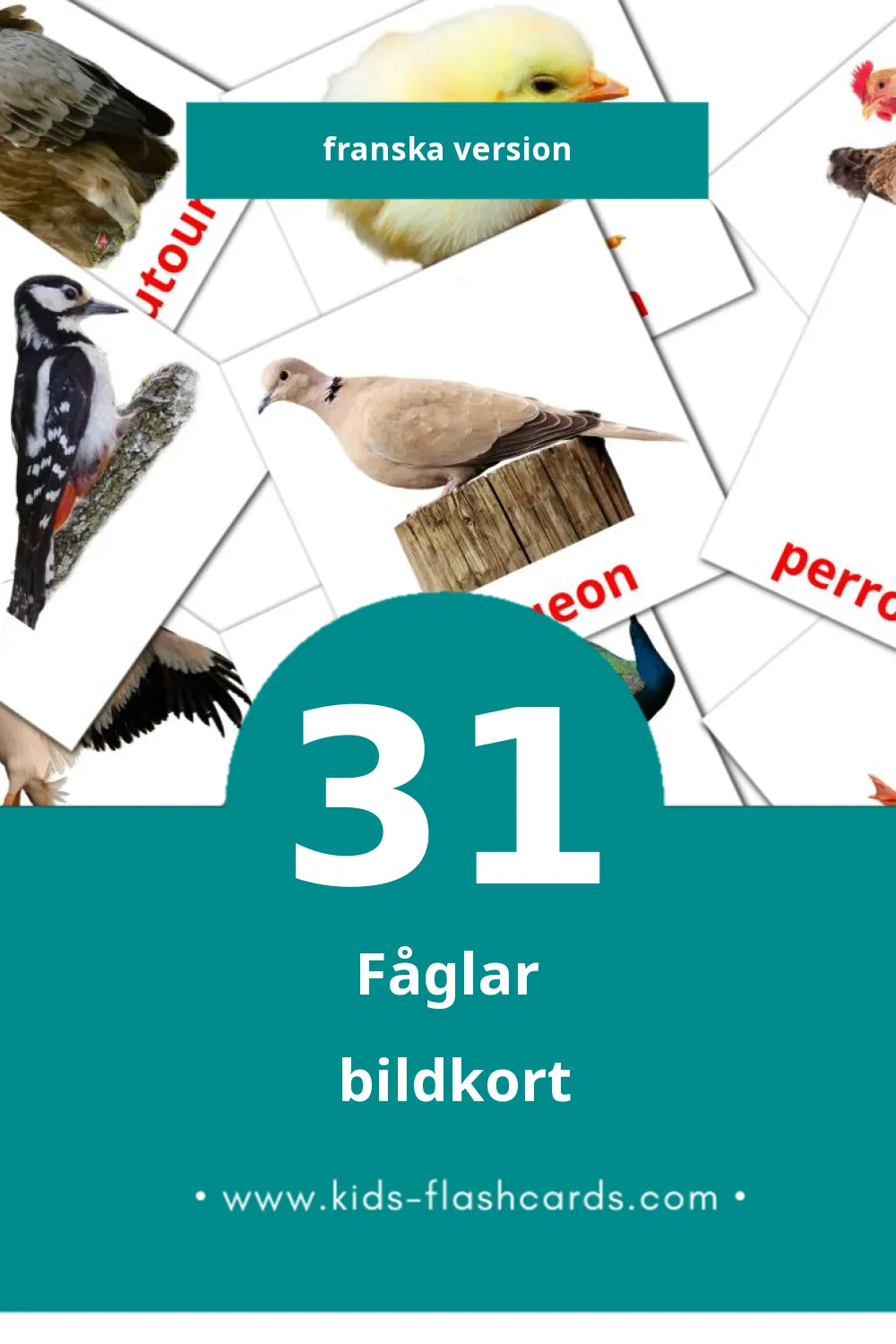 Visuella Oiseaux för småbarn (31 bildkort för barn på Franska)