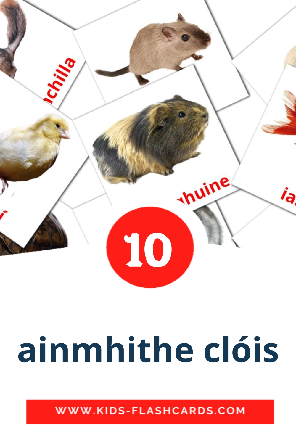 10 ainmhithe clóis Picture Cards for Kindergarden in irish