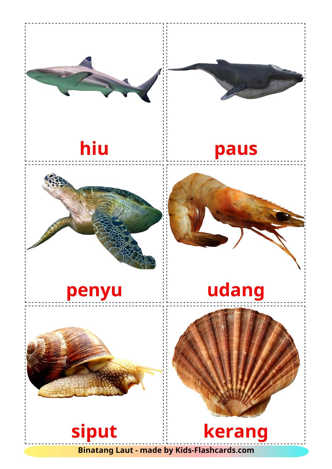 Sea animals - 29 Free Printable irish Flashcards 