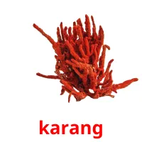 karang picture flashcards