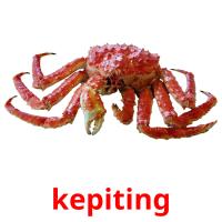 kepiting card for translate