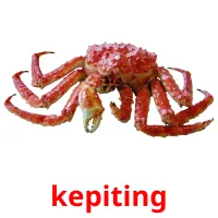 kepiting picture flashcards