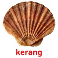 kerang picture flashcards