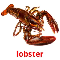 lobster picture flashcards