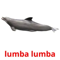 lumba lumba picture flashcards