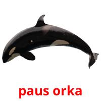 paus orka picture flashcards