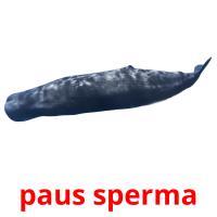 paus sperma card for translate