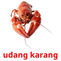 udang karang picture flashcards