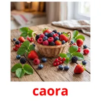 caora карточки энциклопедических знаний