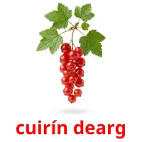 cuirín dearg карточки энциклопедических знаний