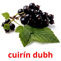 cuirín dubh карточки энциклопедических знаний