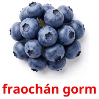 fraochán gorm карточки энциклопедических знаний