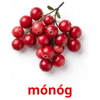 mónóg карточки энциклопедических знаний